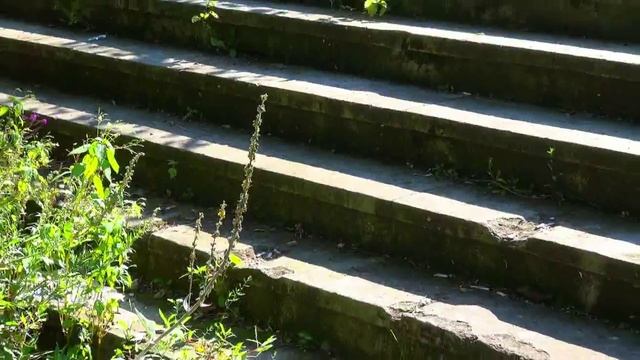 Руины дачи сенатора Полуденского. смотреть онлайн