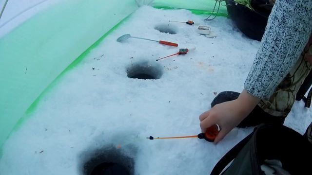 Ловля ЛЕЩА ЗИМОЙ. Сказочная рыбалка 2020! #OmskFish смотреть онлайн