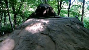 Пляж Лоо, Лазаревского, Мамедово ущелье. Гуляю в хорошей компании.