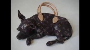 сумка на колесиках хозяйственная купить