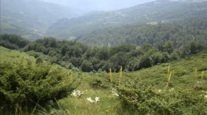 Stefan Luketa - Landscapes of Stara planina