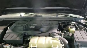 Диагностика двигателя V9X в Техцентре Коуш.