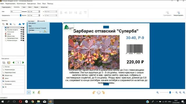 PrintackDesigner:  Как печатать с любого места на листе этикеток