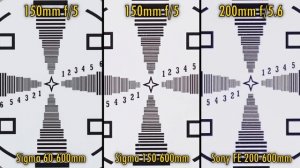 600mm Zoom Battle! Sigma 60-600 vs Sigma 150-600 vs Sony 200-600mm