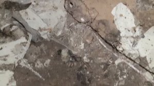 Реконструкция старого дома
