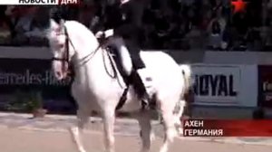 Орловский рысак  Балагур в Аахене