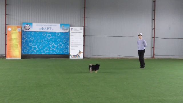 Класс Дети Оганнисян Артур Самвелович & Немецкий малый шпиц _ГУФФИ смотреть онлайн