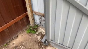 Простые откатные ворота на даче