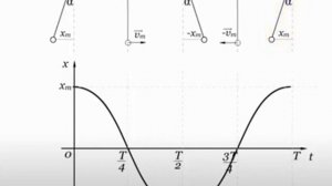 Построение графика механических колебаний