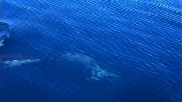 Гусляр Владимир Владимиров. Сказание о Китеж граде смотреть онлайн