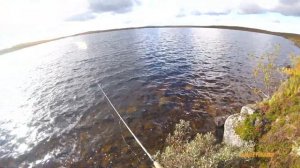 ЗА ЛОСОСЕМ на болотоходе по озёрам в тундре | Рыбалка со спиннингом