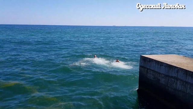 ОДЕССА ЛЕТО 2020 ЧЁРНОЕ МОРЕ СОВИНЬОН РЫБАЛКА клюёт сарган ловит Одесский Липован