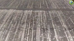 Усиление поликарбоната для теплицы