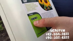 Подкормка Подсолнечника удобрением  Бор ?Жидкие удобрения для подсолнечника?