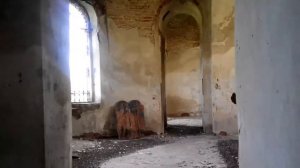 Заброшенный храм в с. Куровщино.