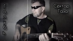 Сектор Газа _ Голубь. Кавер 🎸 cover.
