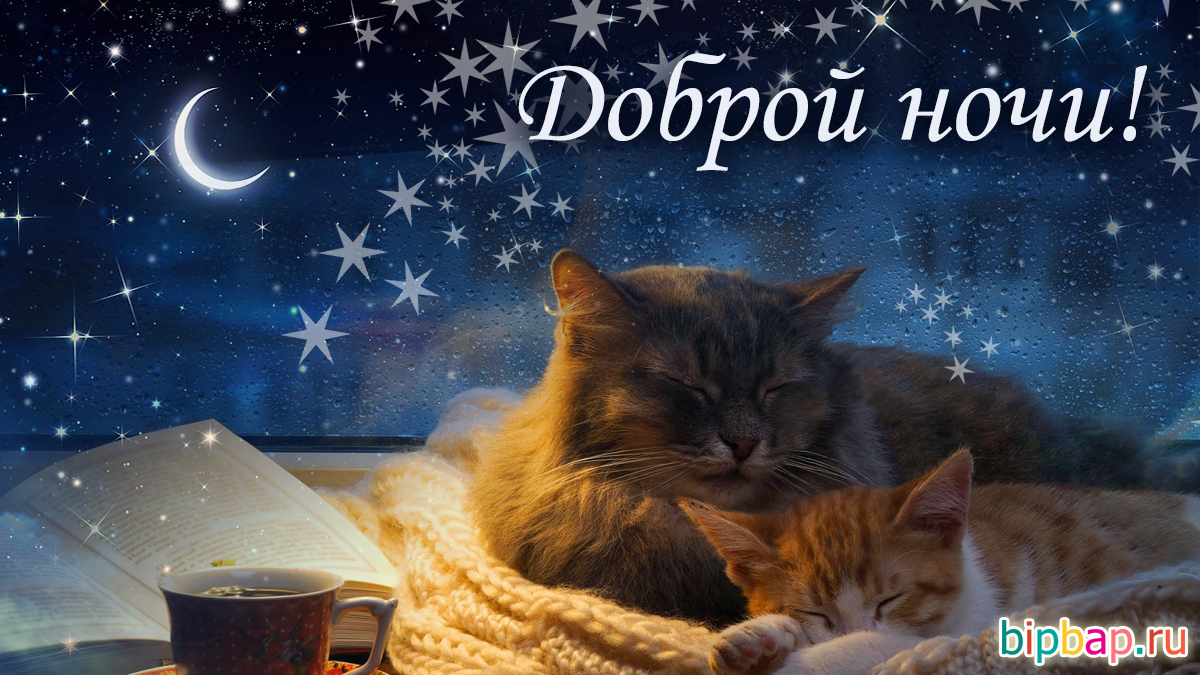 Красивое Пожелание Спокойной Ночи!