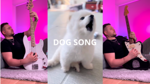DAN ROCK - DOG SONG