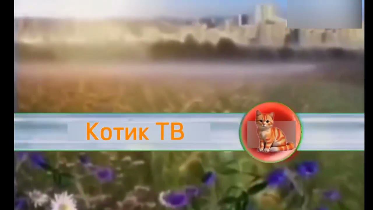 Основная заставка (Котик ТВ, 01.05.2024-н.в.) (лето) для @КотикТвДубляж смотреть онлайн