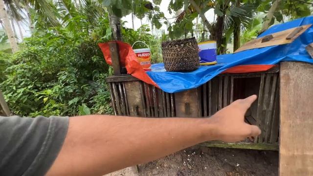 My Dream Tiny House in the Philippines IM STRUGGLING! ?? смотреть онлайн
