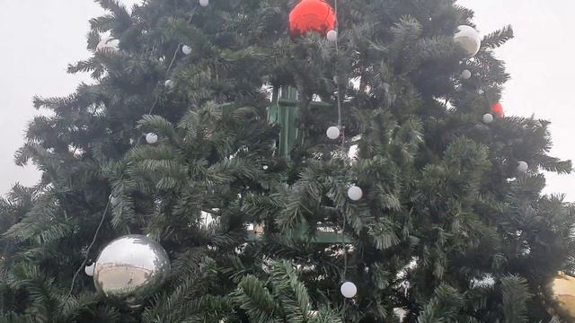 Обзор влогов \ Екатерина Сайбель \ Истинное отношение Кати к своим зрителям \ Мужья ТАКОЕ не едят.. смотреть онлайн