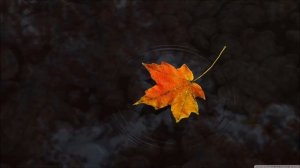 Chris Wonderful Best of Relaxing Chillout Ambient mix