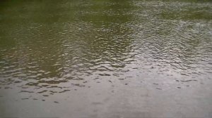 Рыбалка на сазана 2021 | Река Сура | Бешеный клёв.