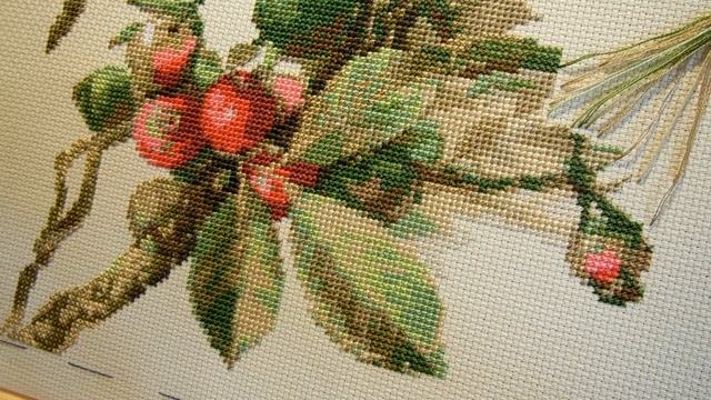 Вышивка крестом. Риолис Белый какаду отчет 2 смотреть онлайн