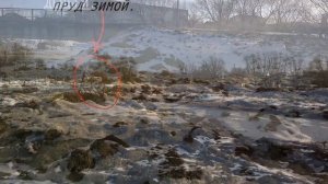 спирово гибнет