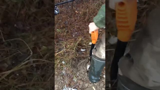 Он нашел золото ? #металлоискатель #коп #находки #metaldetector #поискмонет #minelab #coin #шурф