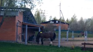 ЗООПИТОМНИК Московского ЗООПАРКА, Московская область, Волоколамский район.