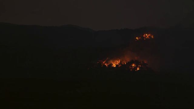 358 million years ago: Giant prehistoric predator dragonfly смотреть онлайн