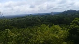 #Tikal Peten Guatemala(24)