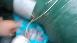 Невинномысский канал Сом на подвеску на карася!