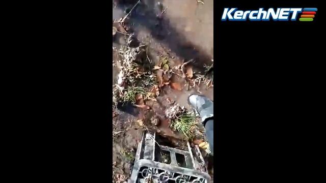 Керчане: в районе Митридата образовалось озеро питьевой воды смотреть онлайн