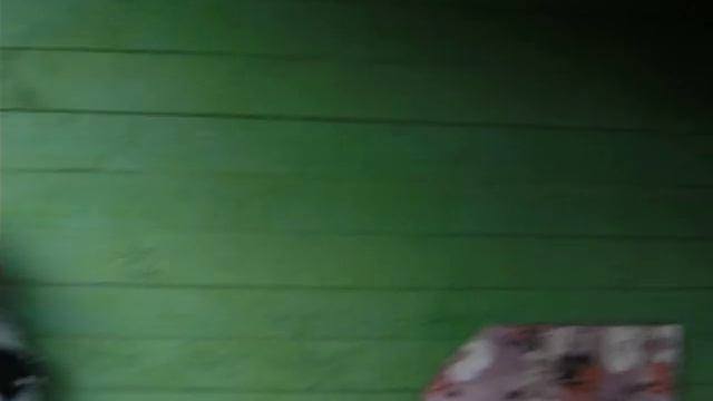 Тверской говор. Воспоминания Дябдиной Е.А. о выселении села Борки. смотреть онлайн