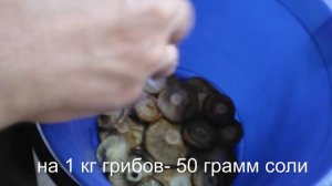 Простой способ засолки грибов