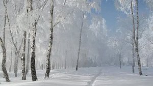 А зима будет большая... (Ю. Визбор)