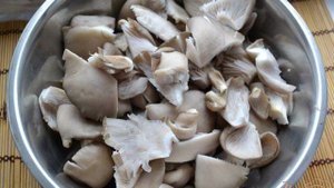 Соленые вешенки