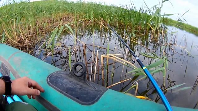 Рыбалка в Омской области на реке Оша на поплавок с лодки и с берега. | Канал "Рыбалка и отдых"