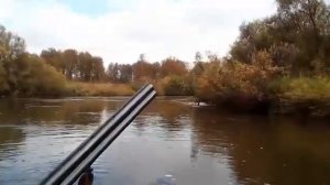 река Рыбная, бобры атаковали!