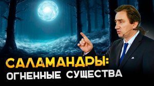 Саламандры - огненные существа. Сергей Серебряков