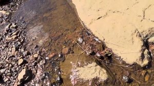 В поисках платины и золота. часть 2