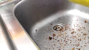 Как быстро почистить арахис от шелухи