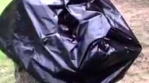 Как убрать пень без корчевания?