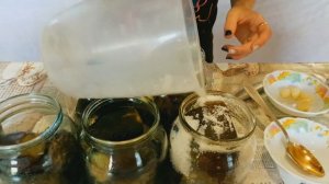 Баклажаны маринованные