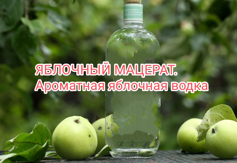 Яблочный мацерат. Мацерат самогон.