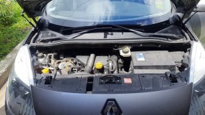 Регенерация(чистка) сажевого фильтра Рено Сценик-3, 1.5dci, 2009 года, VDO.