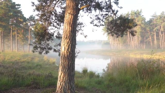 5 июля Ульянин день, Евсеев день. День встреч с любимым человеком. Как избавиться от душевной тоски
