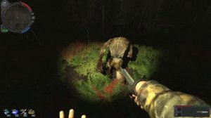 STALKER . Золотой обоз 2 - 24: Заказ Доктора, Опасная охота, Просьба Бизона, Грабёж